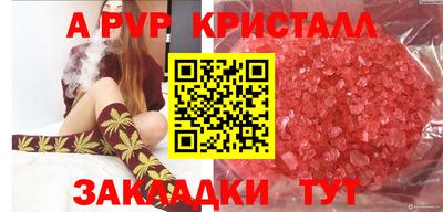 спиды Ливны