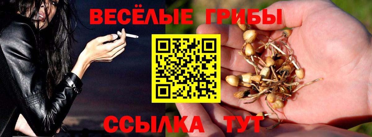 Галлюциногенные грибы Psilocybine cubensis Феодосия
